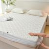 Waterproof, Dustproof, Machine-Washable Mattress Protector – Urine & Stain-Resistant for Home, Hotel, or Dorm Use. In Stock.