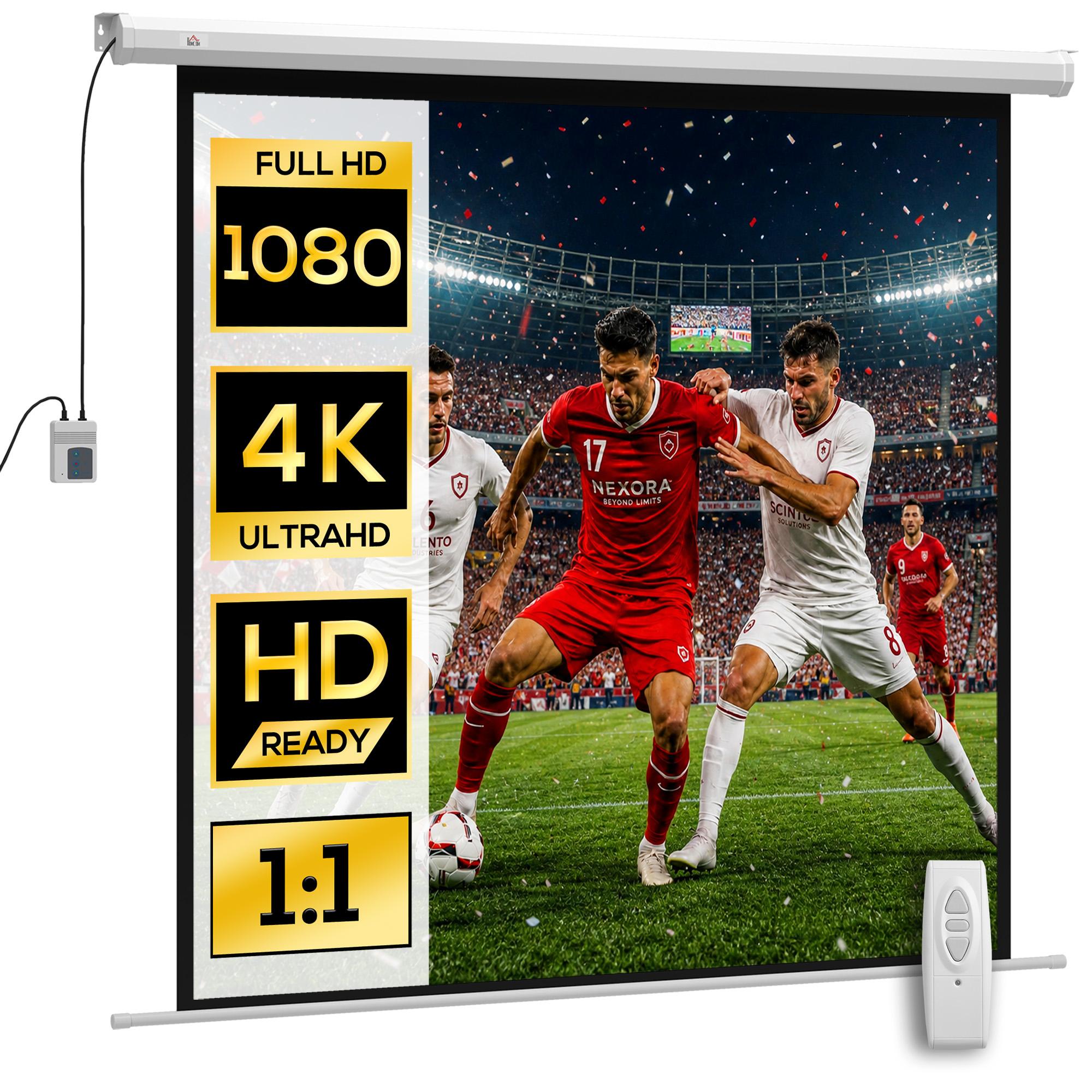Projector Screen 176.5 x 176