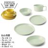 TAMAKI Luonto 5-Piece Set: Ilta Pink Plate, Colored Dish, Pasta Plate, Bowl, Soup Cup (T-947739)