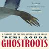 Ghostroots by Pemi Aguda Paperback Book 9780349018249