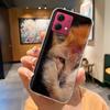 Für Moto G84 Hülle Mode Niedliche Cartoon Rückseite Für Motorola Moto G84 Handy Silikon Hüllen 6,8 Zoll MotoG84 Schutz Fundas