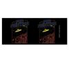 Foo Fighters Flying Saucers 325ml Mug