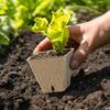 100pack Peat Pots for Seedling Outdoor Garden Germination Nursery Pots Pulps Biodegradables Seedling Starter Pots