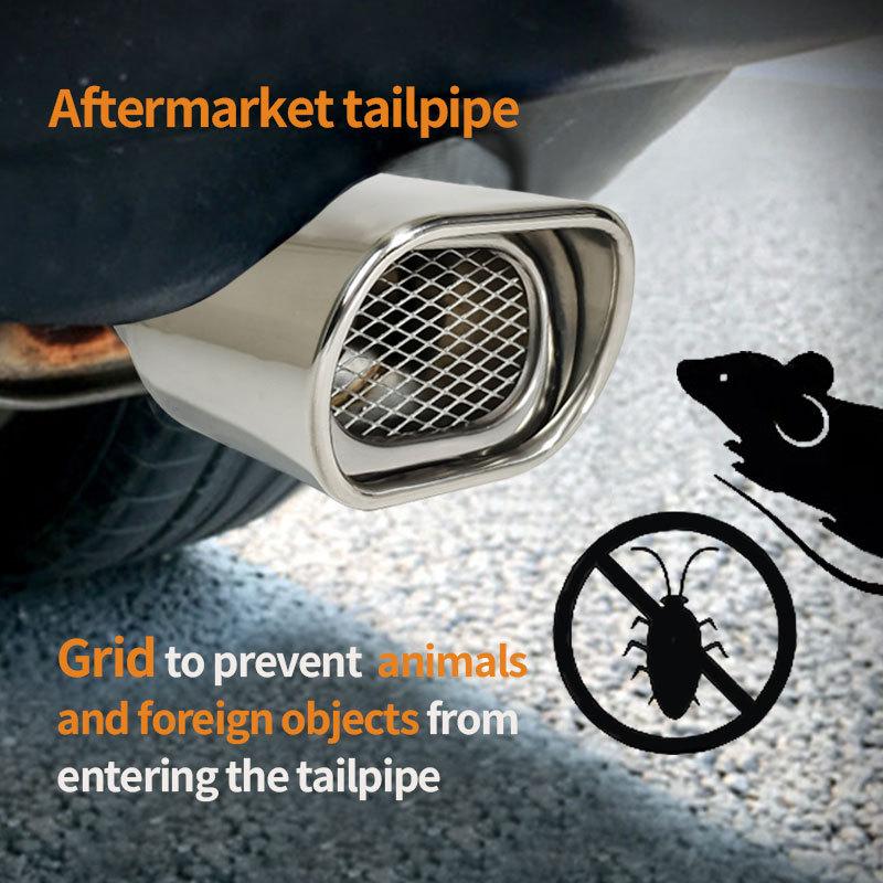 Stainless Steel Muffler Tailpipe for Citroen C3-XR/Venucia T70/Zotye T600