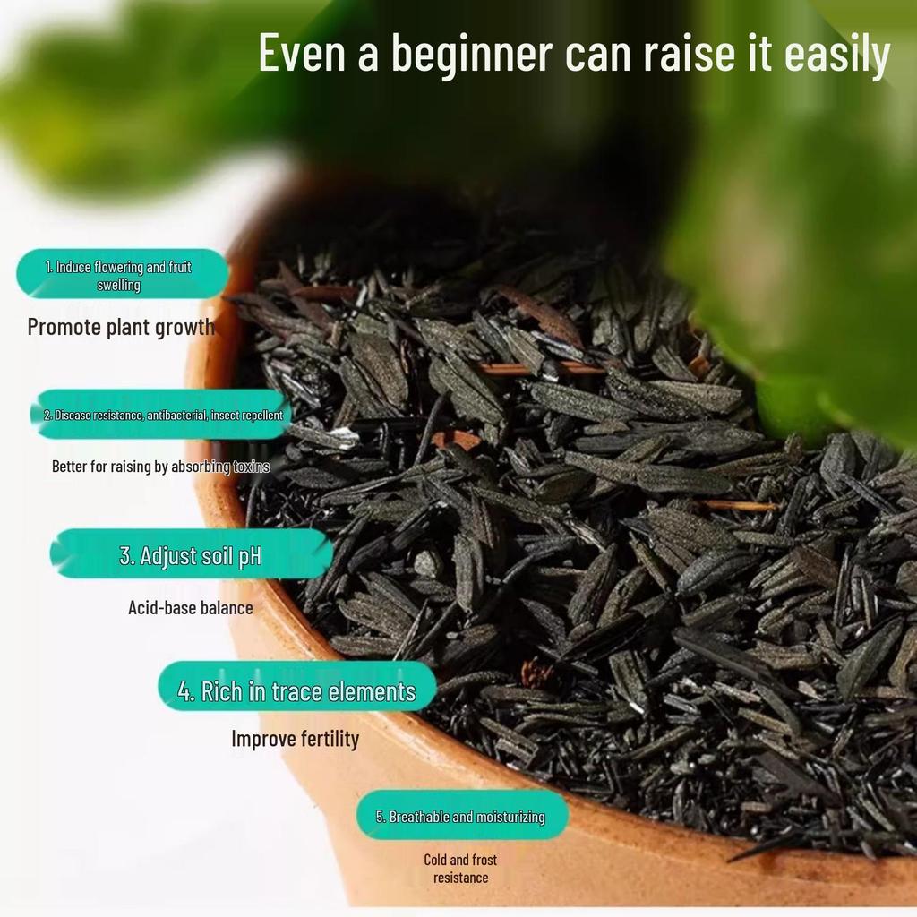 Carbonized Rice Husk Fertilizer: Orchid, Succulent, Vegetable Soil Amendment.