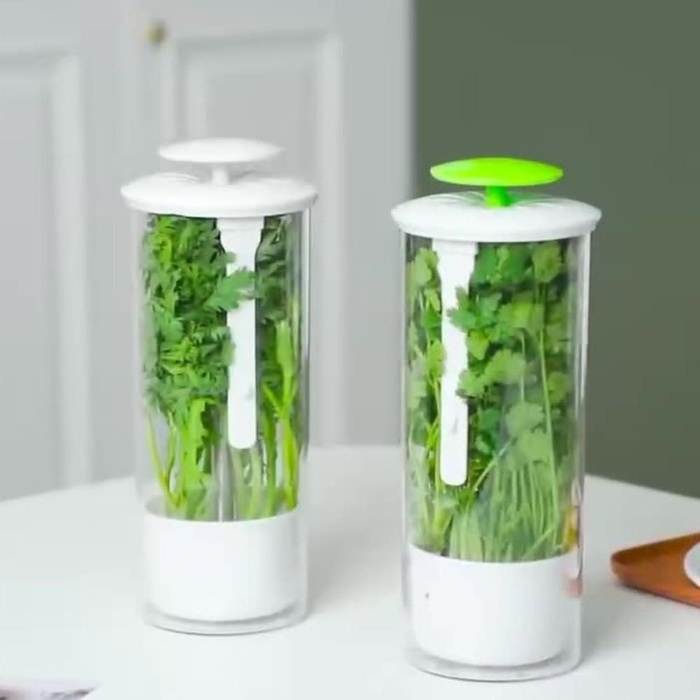 Transparent Longer Fresh Herb Keeper Dust-proof Water Plantin Herb Saver Anti-pressure Environmental