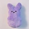 1 Cute Rabbit Plush Doll | Soft and Huggable Stuffed Animal