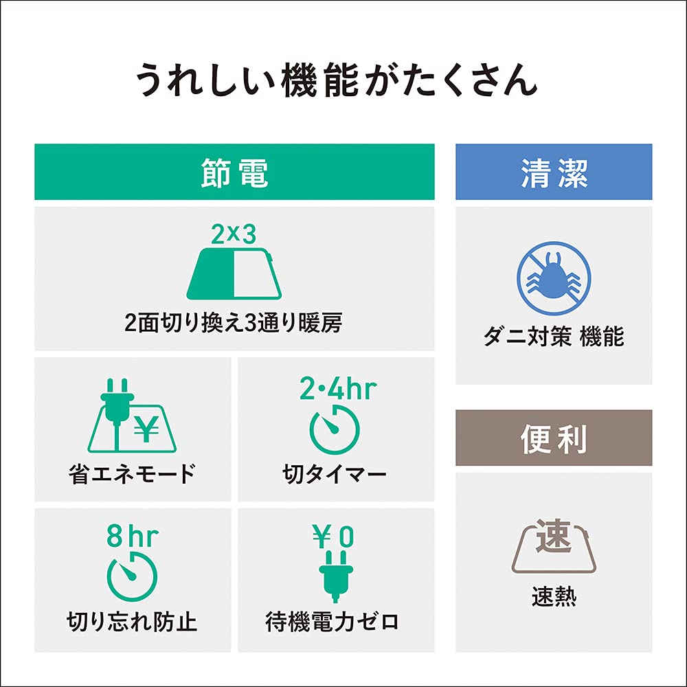 Panasonic Hot Electric Triple Insulation Energy Timer Dust Mite 2 Side Changeable Cover 2 Tatami Grey Carpet, Carpet, Structure, Saving, Function,