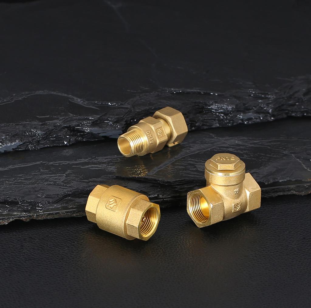 LISHUI Factory LS710 1 Inch Brass Swing Check Valve for Water/Gas/Oil Media 1.6MPa Pressure ISO228 Thread