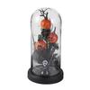 Preserved Black Roses in Glass Dome Halloween Light-up Eternal Flower in Cloche with Skull Pumpkin Statue for Home Kitchen Mantel Tabletop Decor