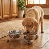 Anti-leak Stainless Steel Pet Bowl Durable Pet Drinking Bowl Cat Double Bowl  Pet Feeding