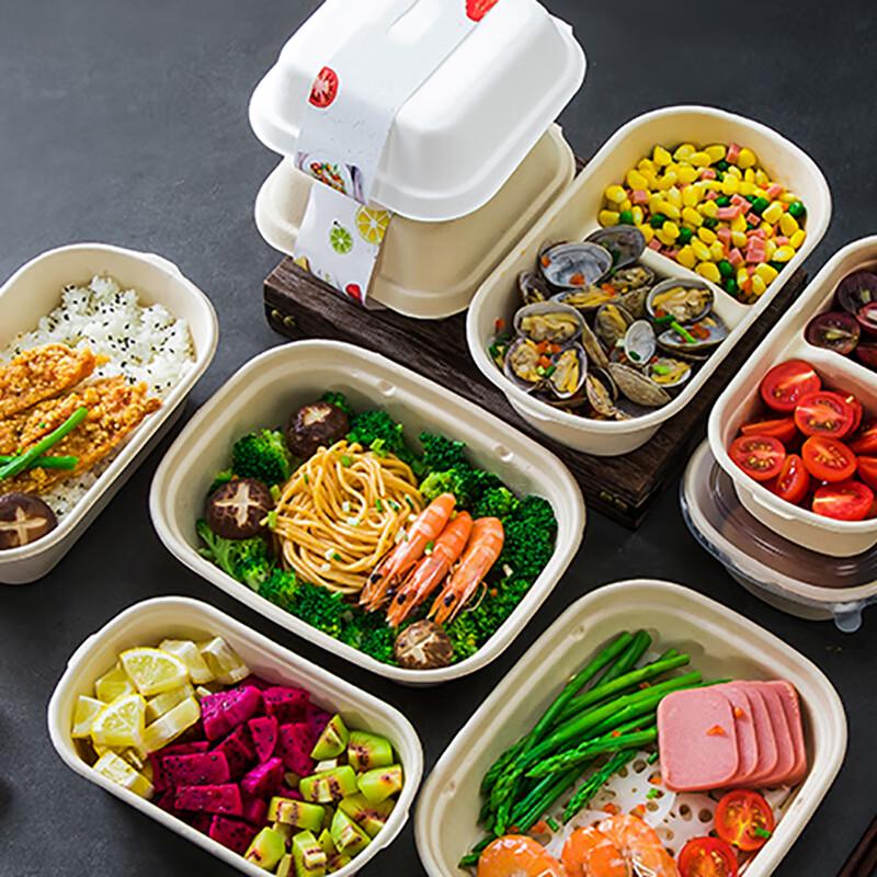 Disposable Pulp Food Container with Lid