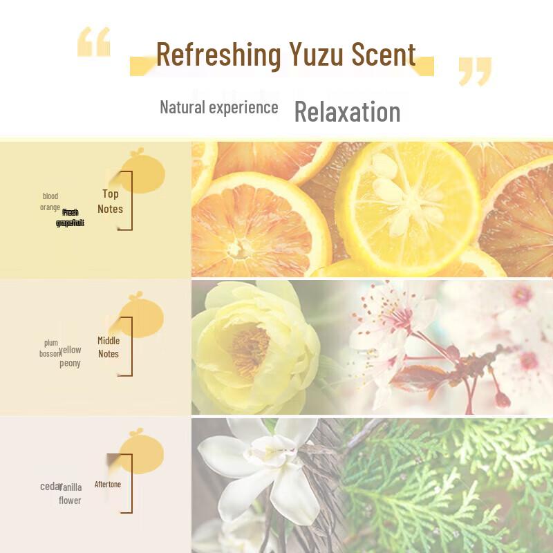 Syoss Fresh Grapefruit Anti-Dandruff Oil Control Volumizing Shampoo