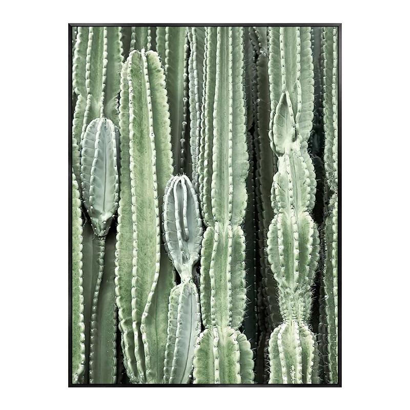 Monstera Leaf Green Plant Poster Animal Lion Leopard Horse Photos Nordic Decorative Paintings Canvas Wall Art Picture Home Decor