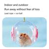 Hamster Running Sphere Exercise Toy for Hamsters Gerbils 18cm 7" Exercise Sphere Relieves Boredom and Increases Activity