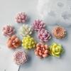 7pcs Succulent Cactus Flower Silicone Mold 3D Mini Rose Flower Chocolate Fudge Pastry Baking Mold DIY Candle Soap Crafts Molds