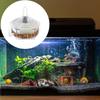Filtres d'aquarium Système de filtration pour aquarium Petit équipement de purification pour l'entretien d'aquarium Professionnels Aquatiques