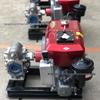 Single-phase Explosion-proof Vertical Pipeline Pump, 220V, Stainless Steel 304, for Gasoline and Diesel Transfer.