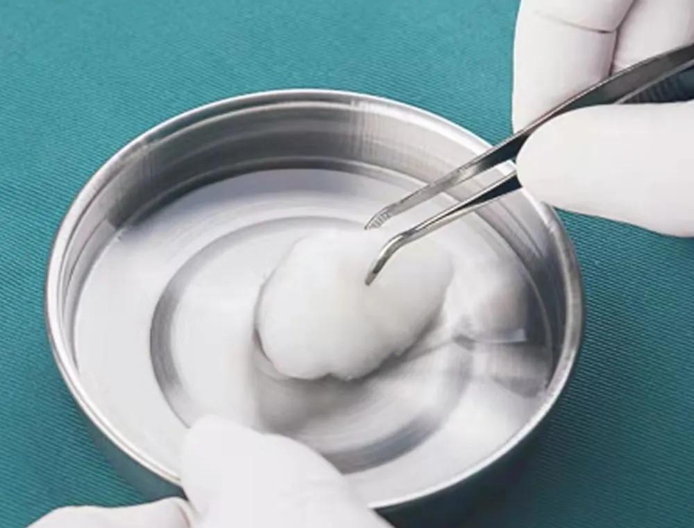 Stainless Steel Toothed Dressing Tweezers, Thickened And Hardened Long Clip