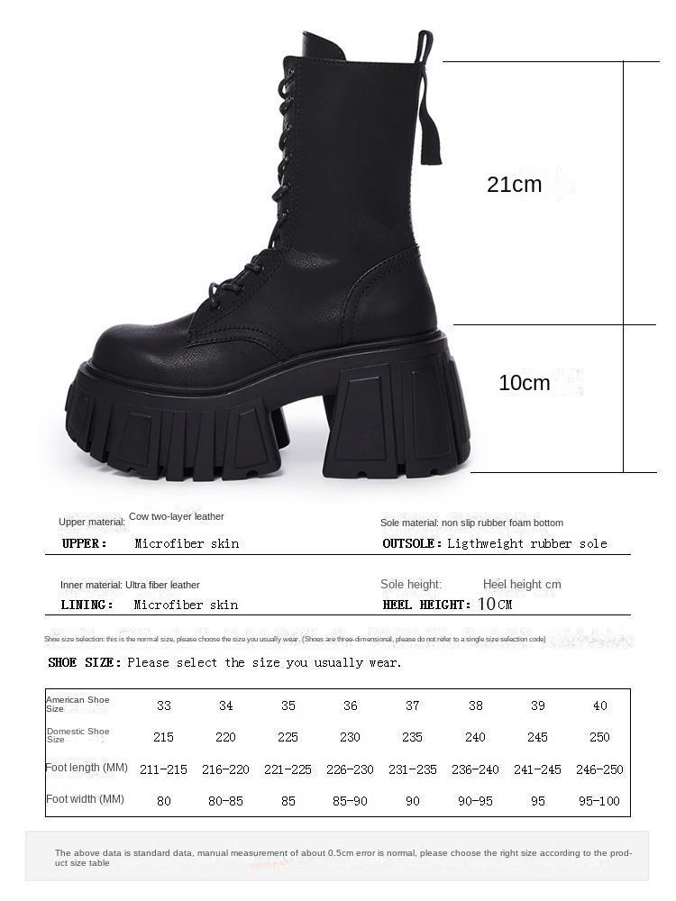 Fashion 2025 New Women Super High 10cm Shoes Woman Thick-Soled British Style Punk Fashion Platform Thigh High Boots Chunky Heel Pumps