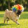 Pet Wig for Small Dogs and Cats Halloween Costume Accessory