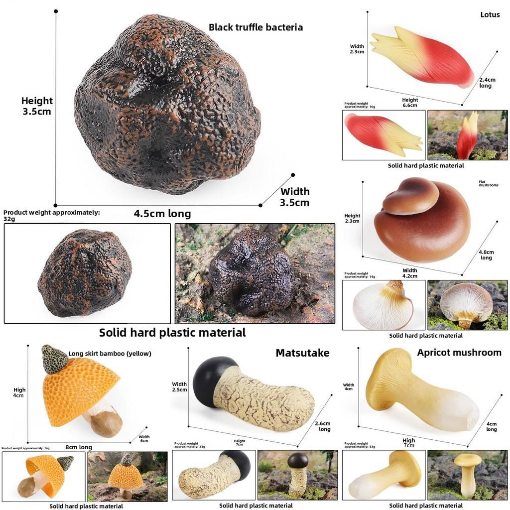 Muscaria Plastic Amanita Mushroom Model For Kids Learning And Landscape Decor