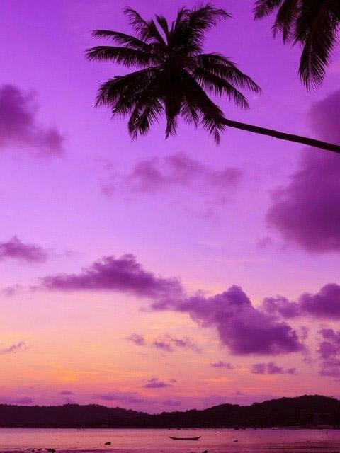 5D DIY Diamond Painting Landscape Full Square Round Drill Embroidery Seaside Cross Stitch Sunset Coconut Tree Decoration Hobby