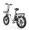 Allgobike AC20 Elektrische Fiets 250W Motor 20" Band Stadsverkeer Elektrische Fiets 48V 20Ah LED Display Maximaal Bereik 60Km 7 Versnellingen Maximaal Laadvermogen 120Kg