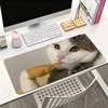 Funny Cat Meme Mouse Pad For Office Gaming And Keyboards NonSlip Large Waterproof