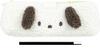 Sanrio Fluffy Pencil Case Pen Pouch Accessory Case Pochacco Set (Pencil Case, Pencil)