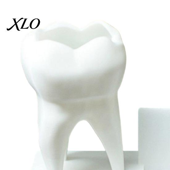 Study Desk Decor 3D Printed Tooth Pen Holder with Business Card Holder, 2 in 1 Stable Countertop Storage Teeth Shape Organizer, Dentist Office Desktop
