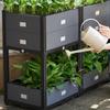 Multi-Level Planter Box for Outdoor Flower And Vegetable Gardening