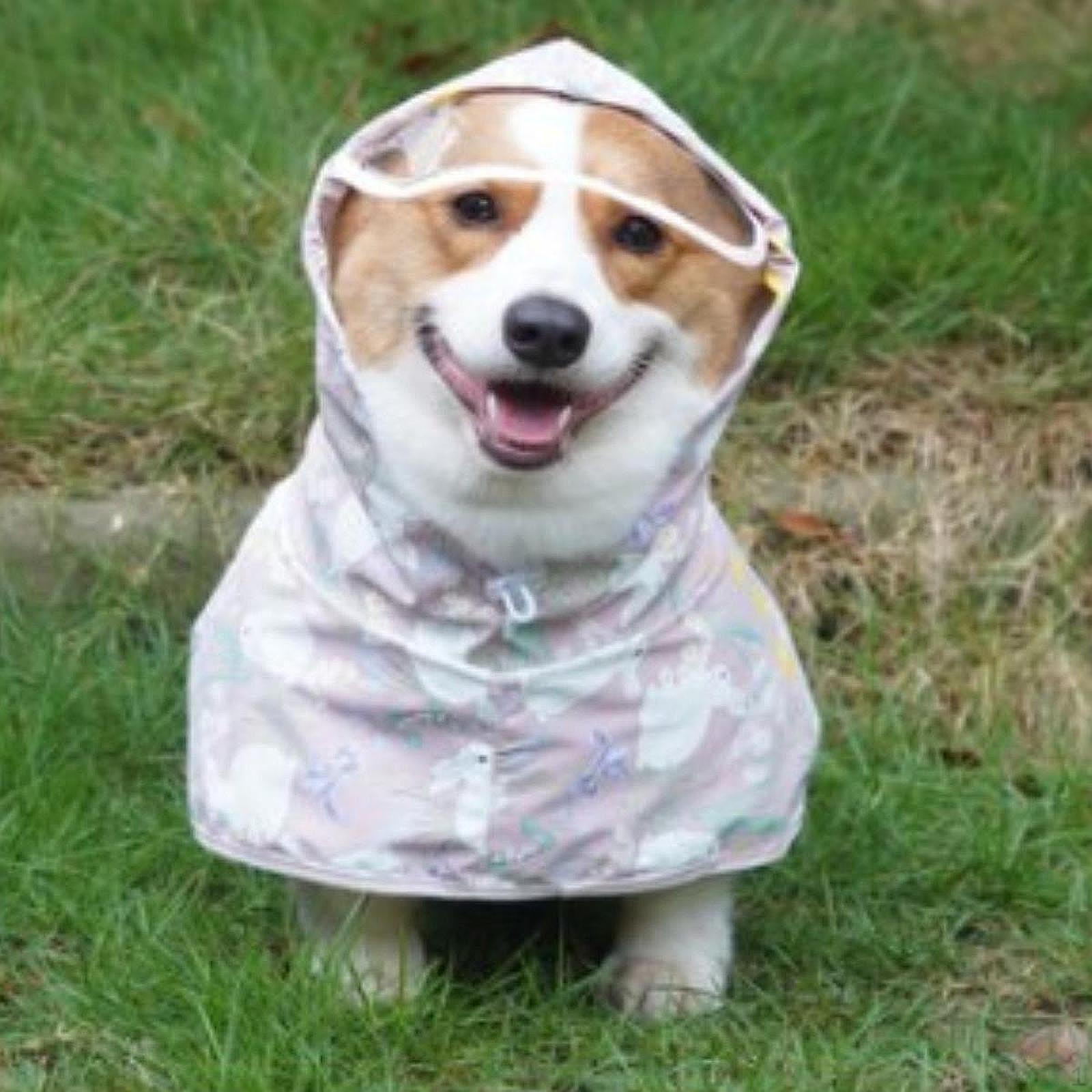

Dog Poncho, Rain Jacket, Pet Hooded Cape for Small to Large Dogs M