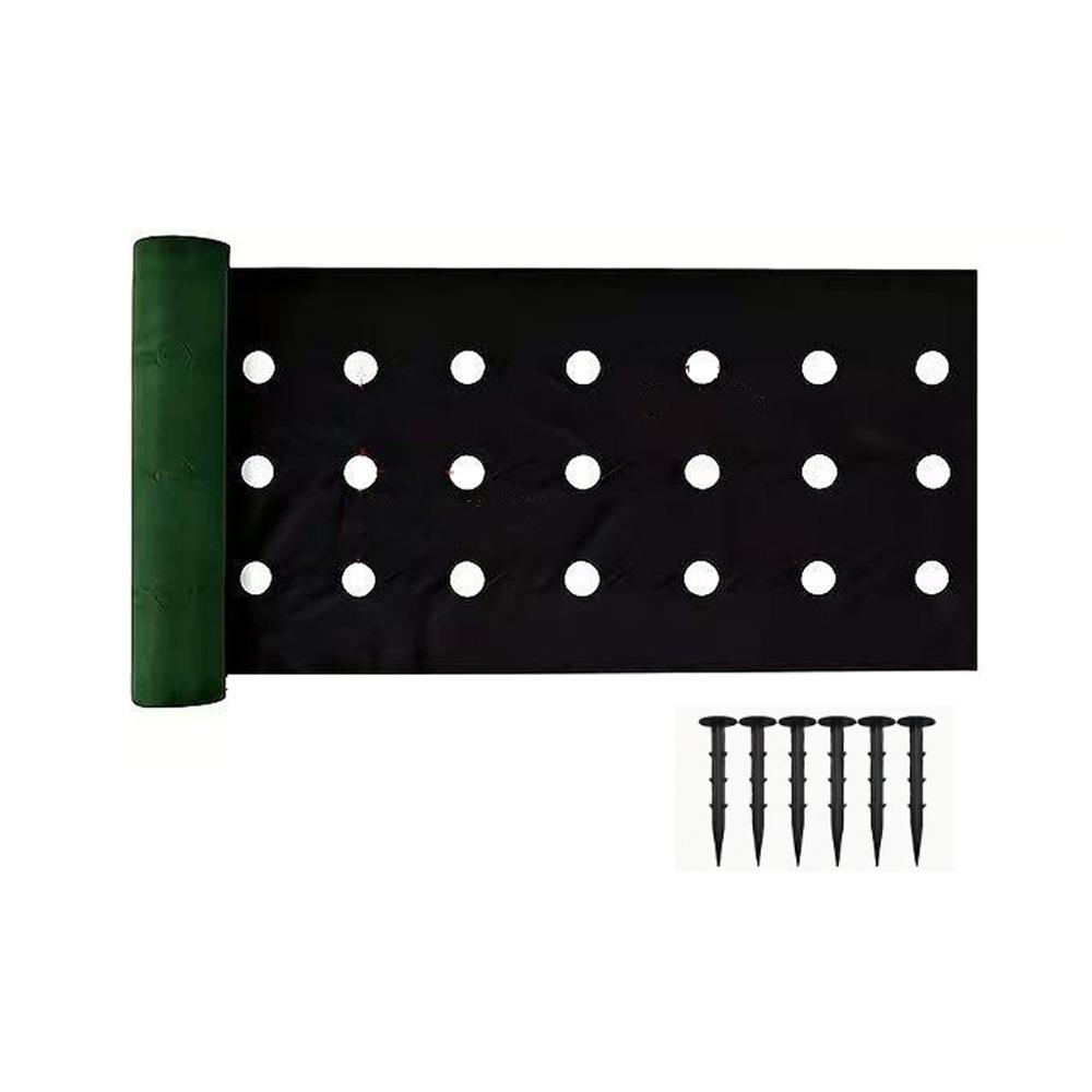 Double Layer Perforated Grass Proof Cloth Biodegradable Weed Control Ground Cover Courtyards