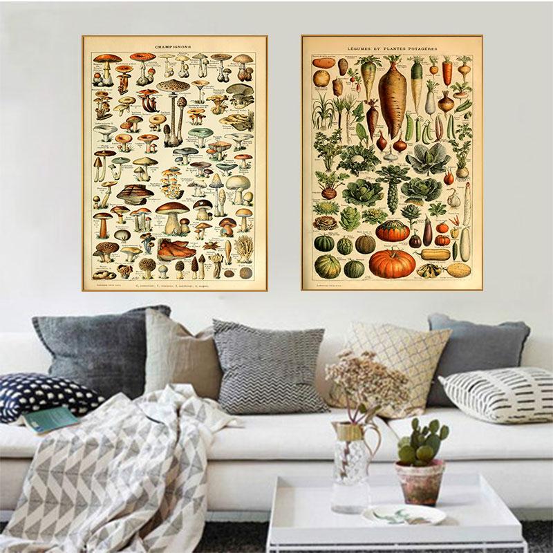 Vintage Vegetable Fruit Botanical Education Poster Mushrooms Chart Drawing Wall Art Canvas Painting for Living Room Decor Quadro