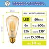LVWIT 60W Equivalent Filament Bulb, E26 Base, LED Bulb, 600LM, Dimmable, Color Adjustable, Remote Control Included, Brown, 6W Power Consumption,