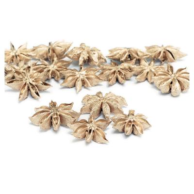 Daichi Farm Dried Flower Star Anise Platinum Approximately 35g 3.0cm DO021020-932