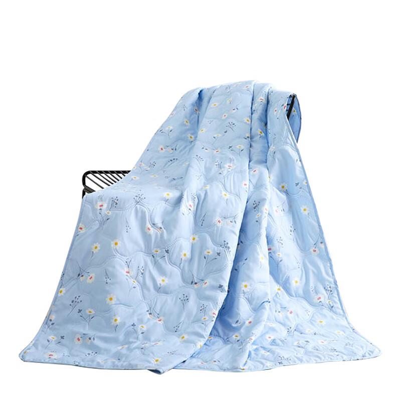 Mengjie Regina Premium Soft Summer Quilt