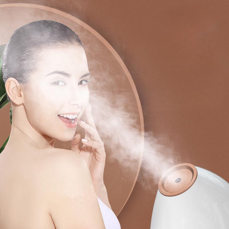 Cold and Hot Double Spray Face Vaporizer Nano Water Refill Sprayer Face Household Steam Engine Beauty Salons Special Face Vaporizer Beauty Equipment