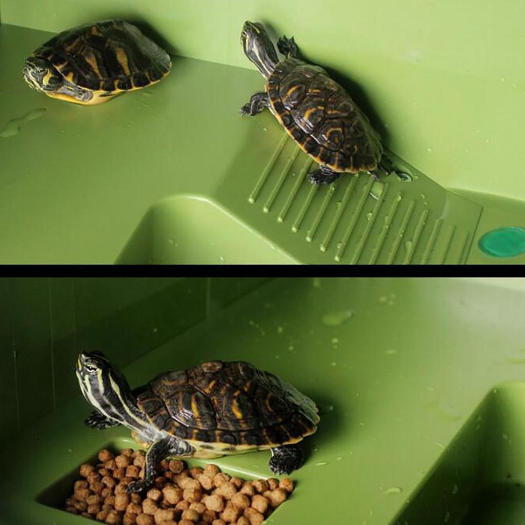 Turtle Basking Platform for Turtle Tank Floating Island Terrace Decoration