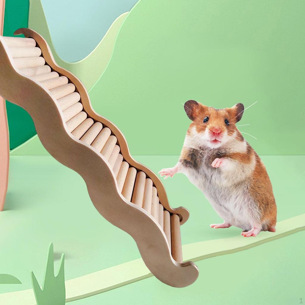 Hamster Stairs, Decorative Exercise Y Cage Accessories Gift Ladder Ys for Budgie Pet