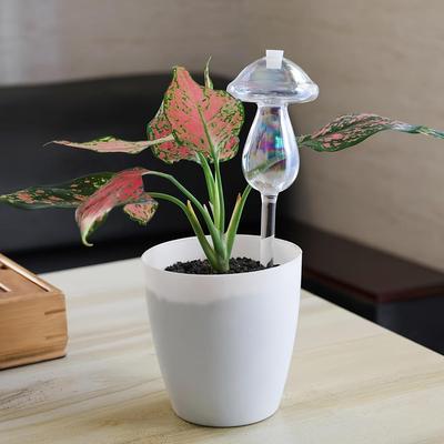 Confezione da 4 Annaffiatoi a Forma di Fungo, Irrigazione Automatica a Goccia in Vetro, Set per Annaffiare il Giardino Trasparente, Strumento per la Cura del Prato, Sistema di Irrigazione Automatica