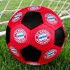 Bayern Munich Theme Size 5 Soccer Ball, Suitable for Both Indoor and Outdoor Matches, a Gift Suitable for Everyone.