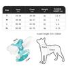 Luxurious Angel Wings Puppy Harness Set Lightweight Adjustable POM Buckle Pet Vest Chest Strap for Small Dog Cat Daily Walking