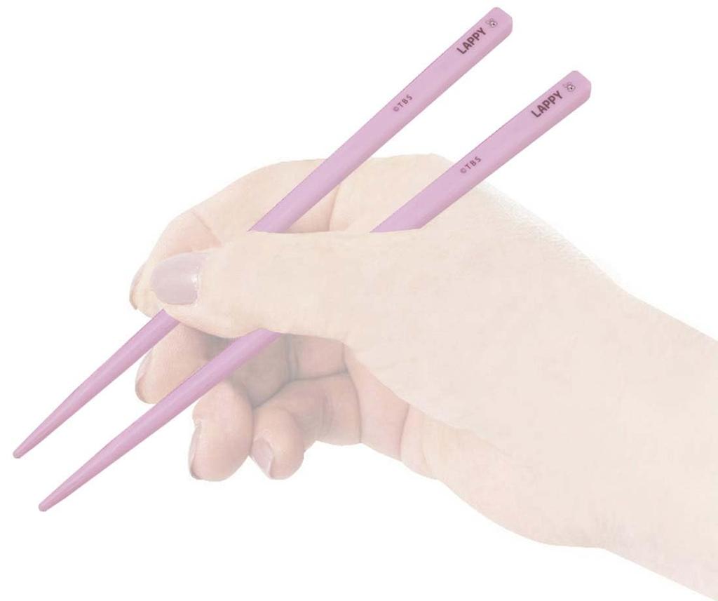 Skater 18cm Chopsticks and Chopstick Case Rappy Made in Set, Antibacterial, Adult, Design, Japan, ABC3AG-A