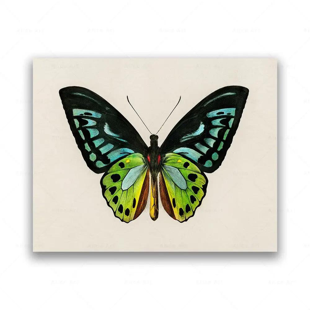 

Henri Matisse Crane Bird Butterfly Cat Flower Pink and Green Eclectic Wall Art Painting Canvas Poster Print Pictures Room Decor 21cm×30cm NoFrame