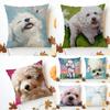 PPoodle Kissenbezug Waschbar Leinen Kissenbezug Weich für Sofa Bett Gemütliches Zuhause Zimmerdekoration
