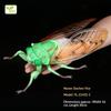Realistic Insect Figure Collection Set Wasp Mantis Cicada Pupa Rhinoceros Beetle Nature Model Toy Gift For Fans Collectors