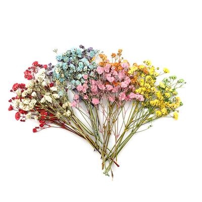 Decorațiuni pentru casă – Flori decorative şi coroane de flori