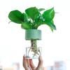 Transparent Round Hydroponic Planter Water Growing Vase Container Plastic Tabletop Plant Bonsai Home Living Room Decoration